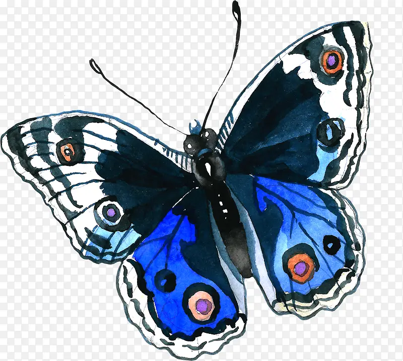 ��ͨ�ɰ�С����װ����ƶ���ͷ��-������