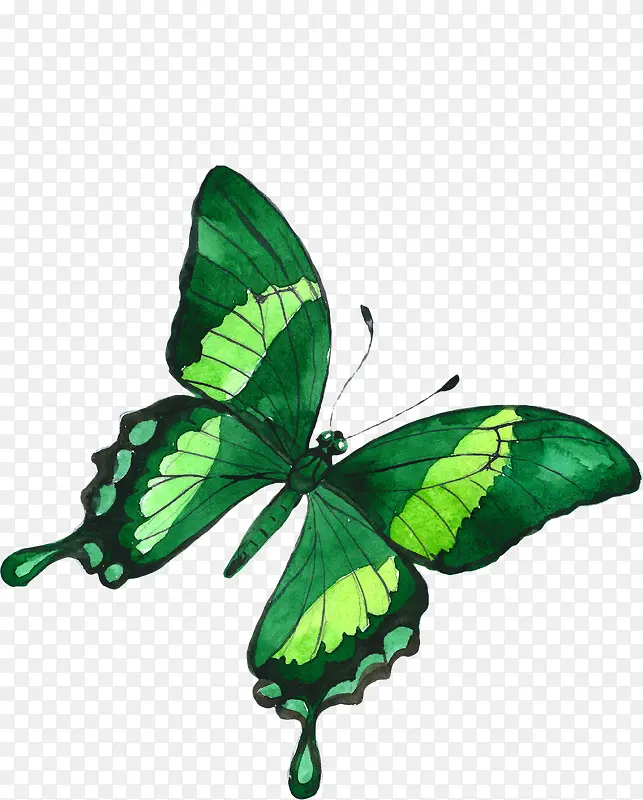 ��ͨ�ɰ�С����װ����ƶ���ͷ��-������