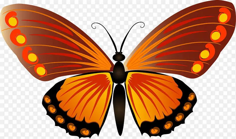 �ֻ����-������