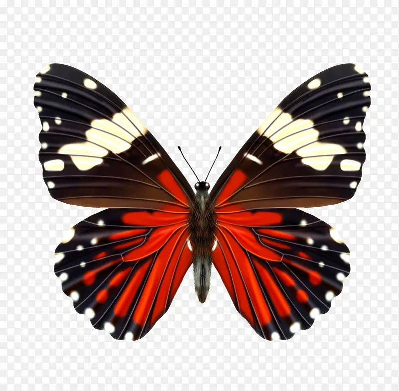 ����-������