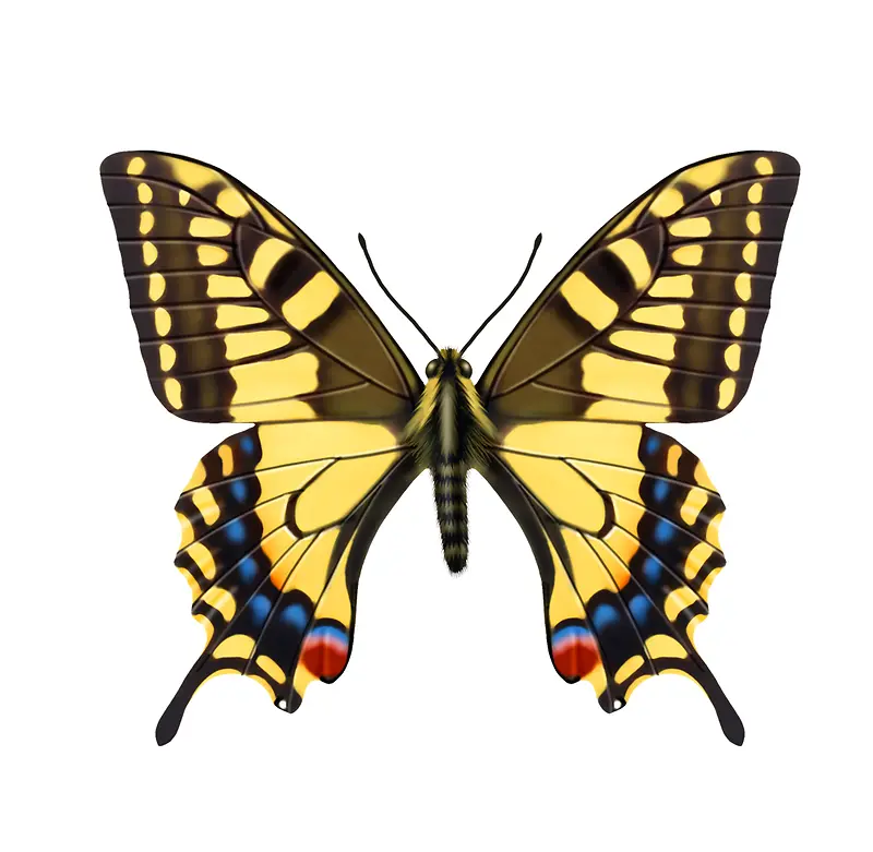 ����-������