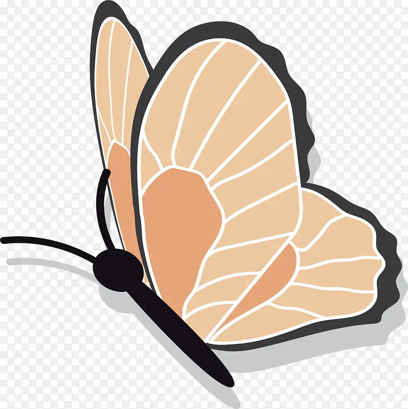 ��ͨ��������廭-������