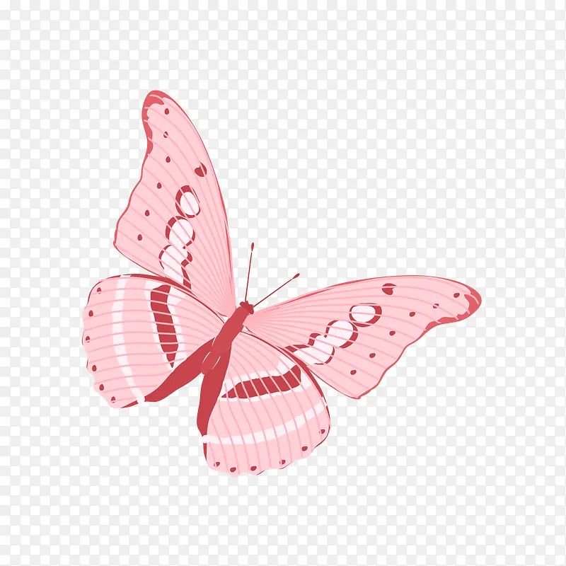 �ֻ����-������