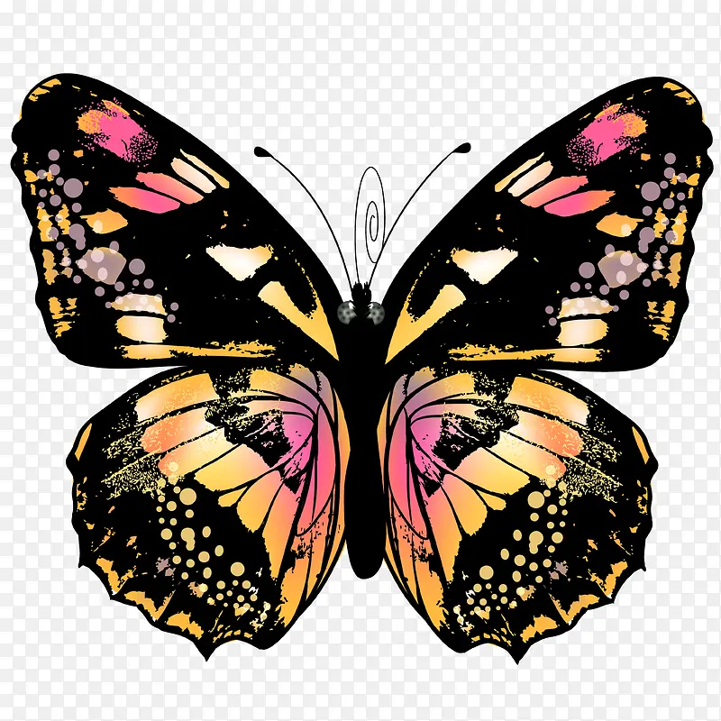 �ֻ����-������