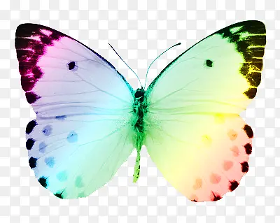 ��ɫ����-������