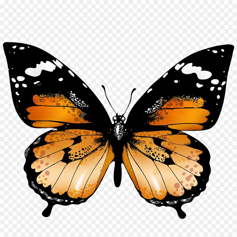 �ֻ����-������