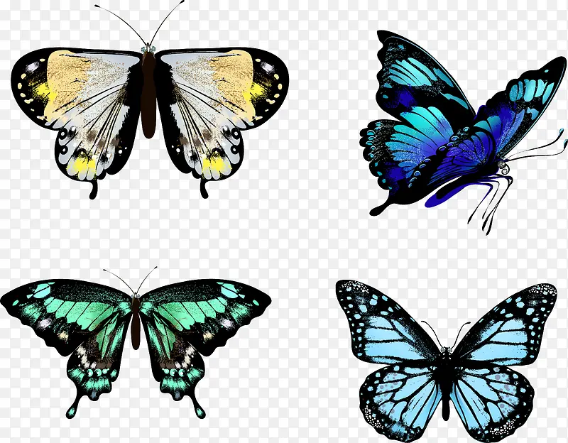 �ֻ����-������