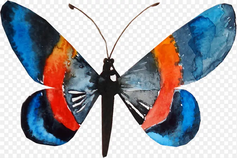 �����ֻ����-������