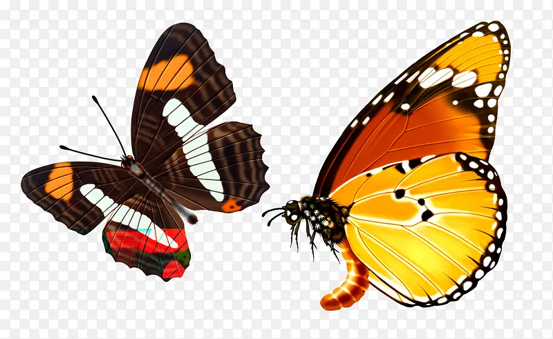 �ں���-������