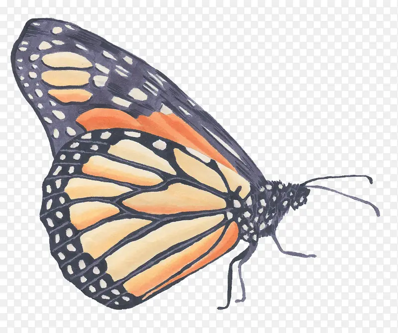 ˮ���ֻ����-������