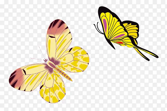 �ֻ����-������