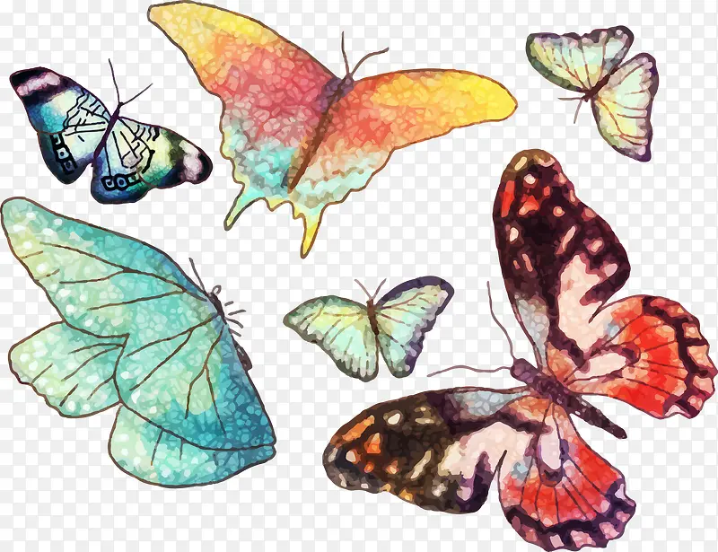 ʸ�������������ز�-������