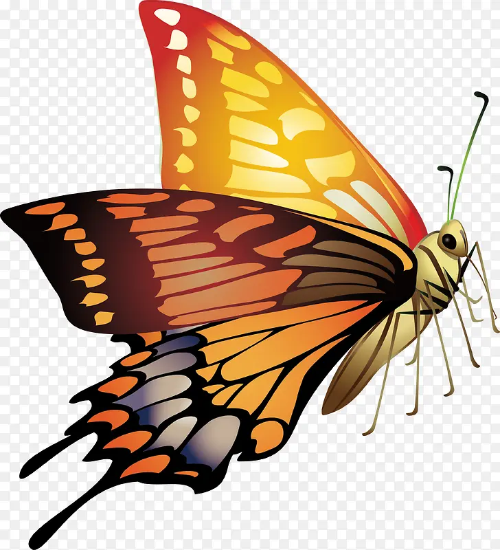 ����װ�����ʸ��-������