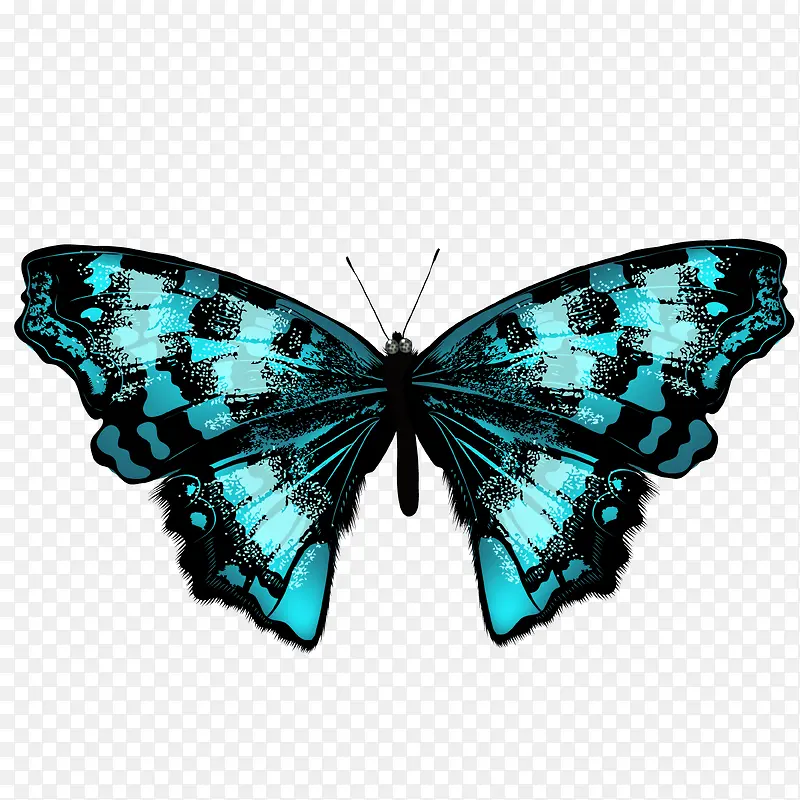 �ֻ����-������