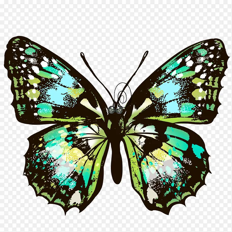 �ֻ����-������