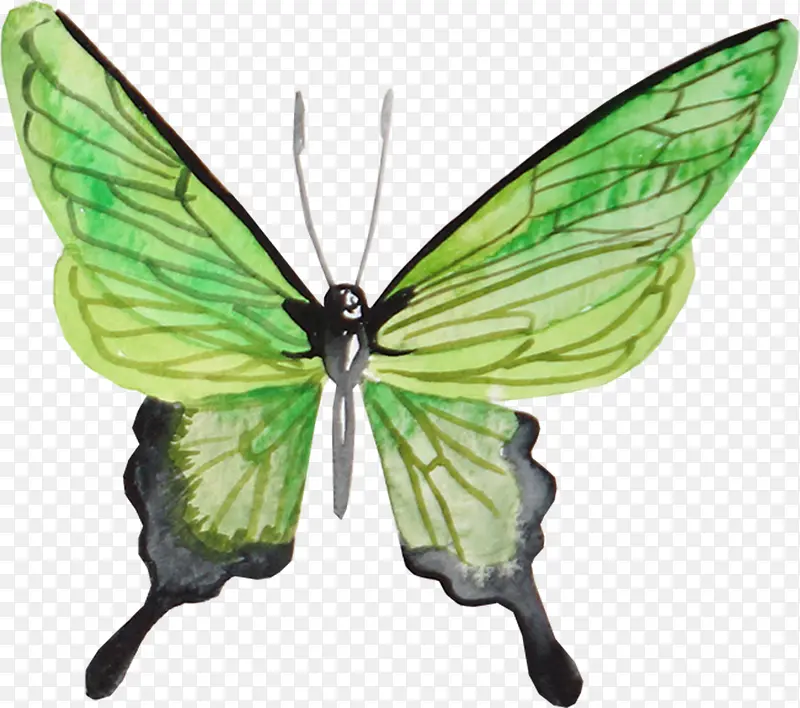 �����ֻ����-������