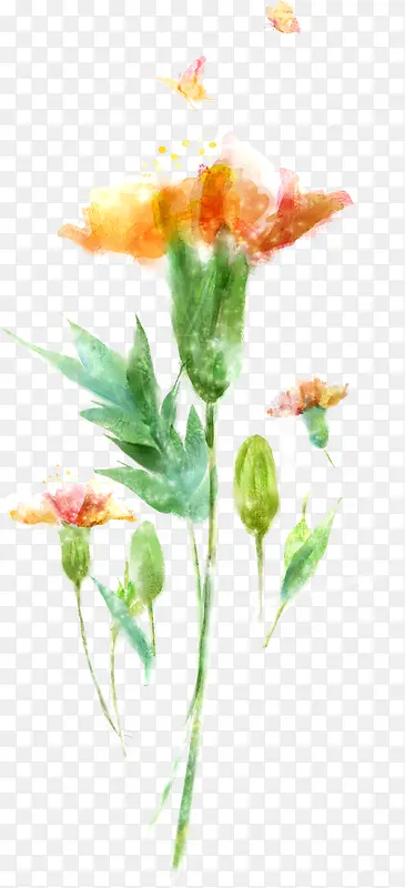 ����ˮ�ʻ���ֲ��-������