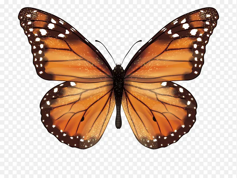 �����ֻ�װ��-������