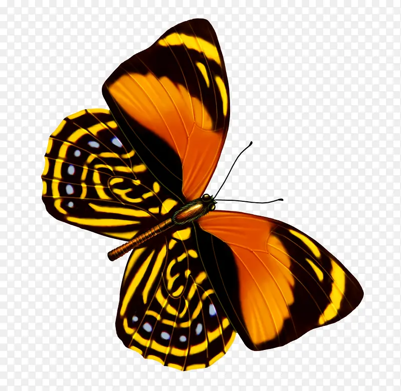 ����-������