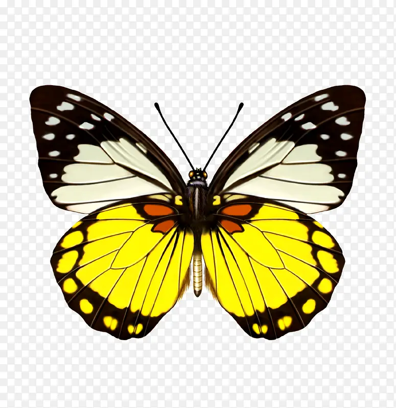 ����-������