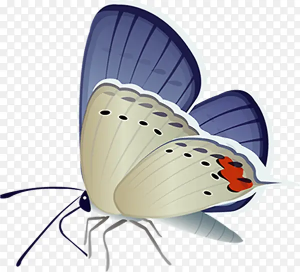 �ֻ����-������