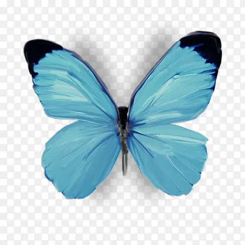 ����-������