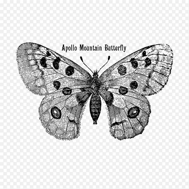 ʸ����ɫ����-������