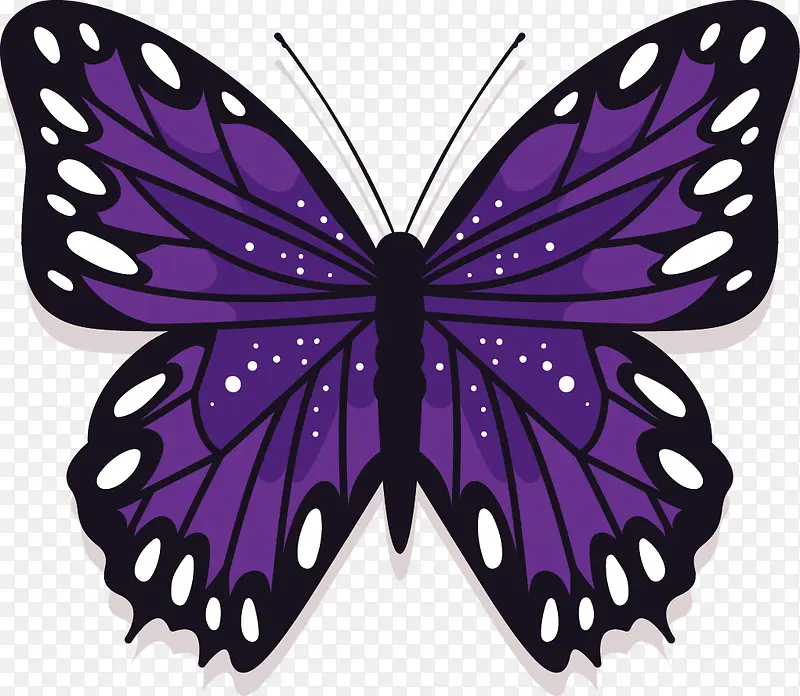 ��ɫ�ĺ���-������