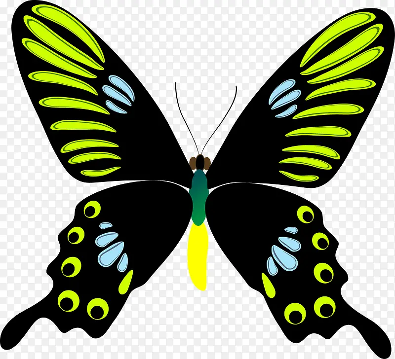 �ֻ����-������