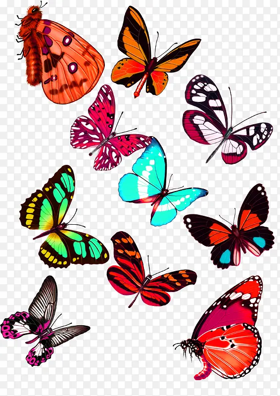 ������º���װ��ͼ��-������