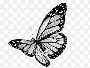 �ֻ����-������