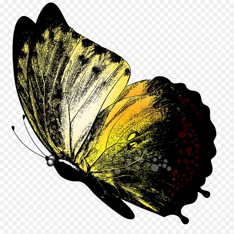 �ֻ����-������