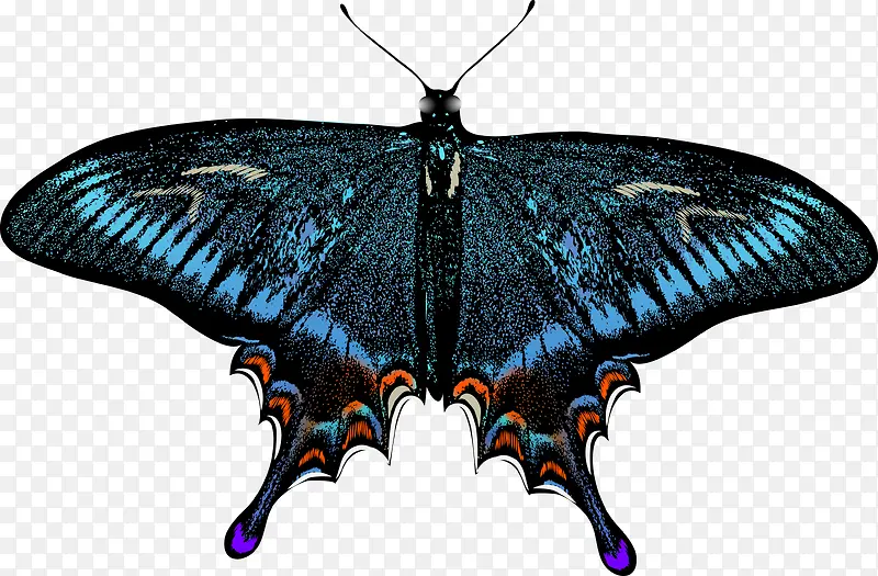 �ֻ����-������