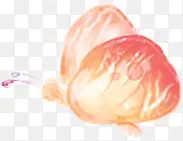 ��ɫΨ������-������