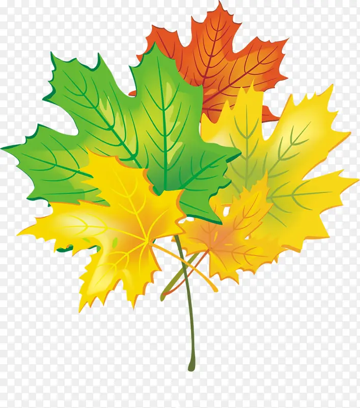 �ֻ���Ҷ-������