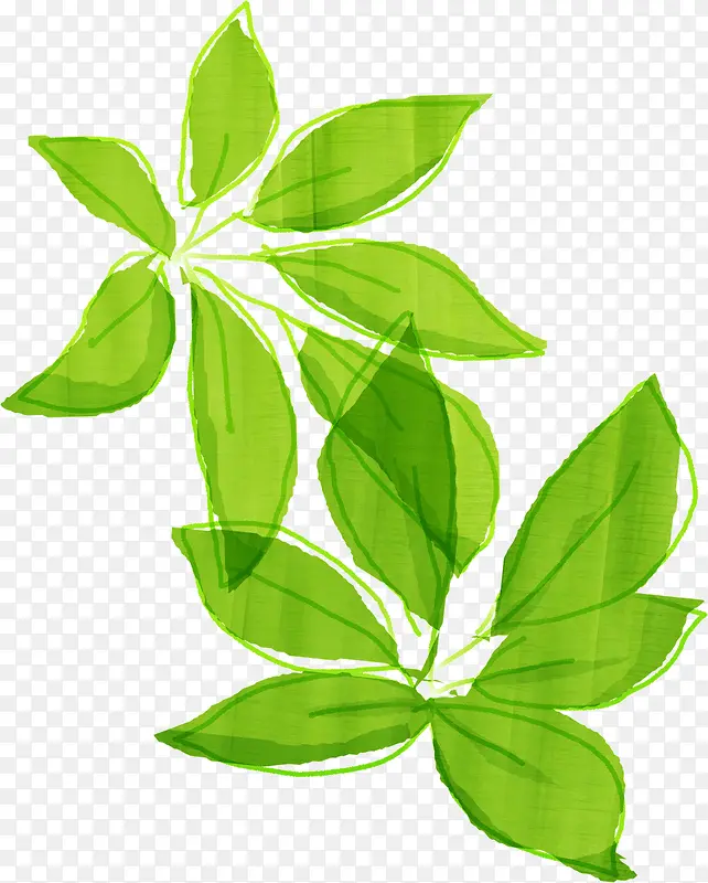 ��ͨ�ֻ���Ҷ-������