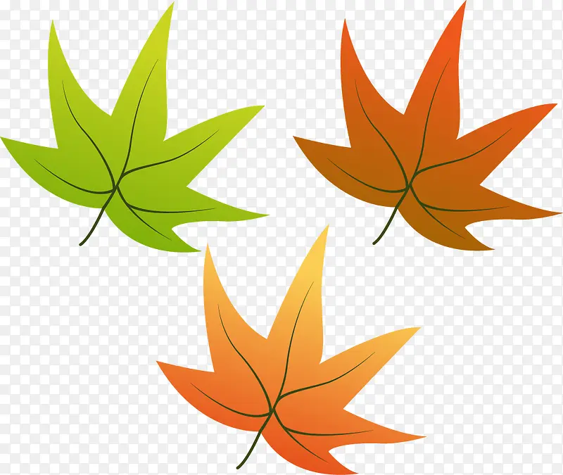 ��ͨ��Ҷ-������