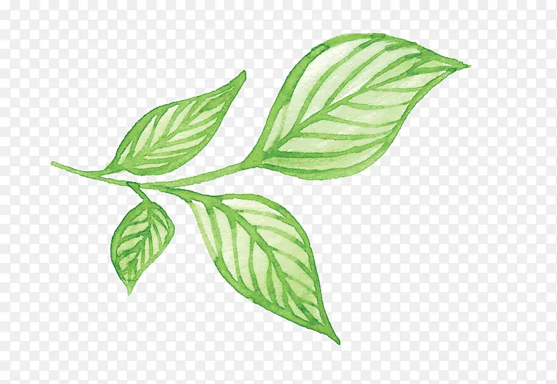 ��ͨ�ֻ���Ҷ-������