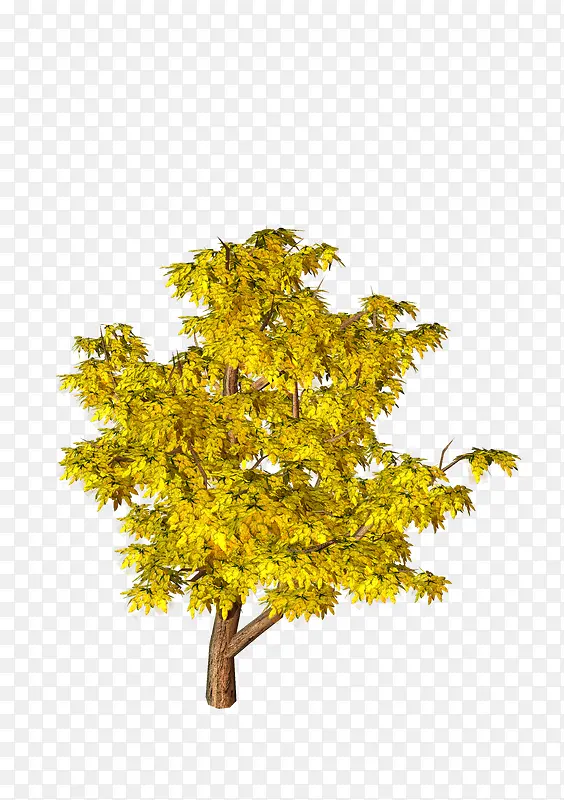 ����-������