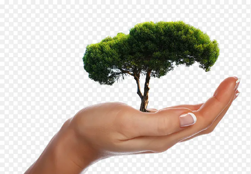 �ֺ���-������