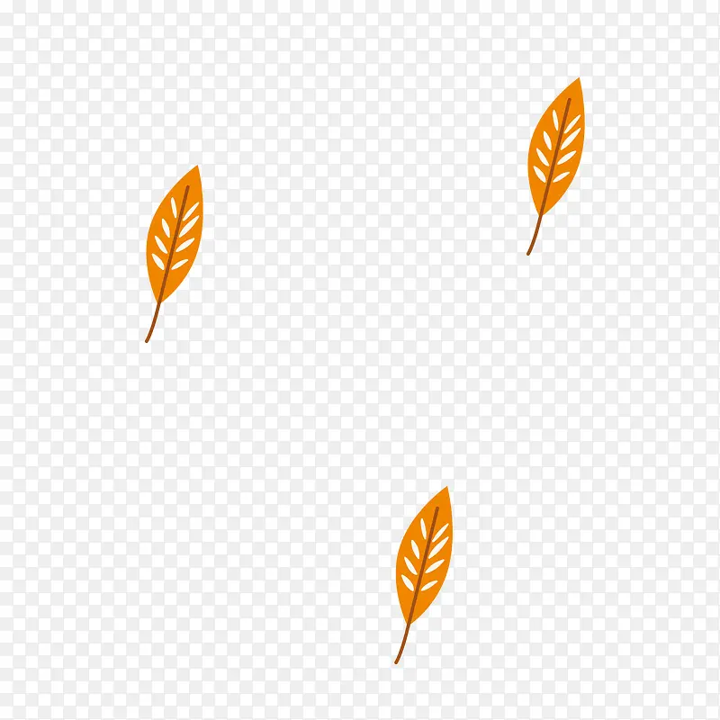 ��ͨ��Ҷ-������