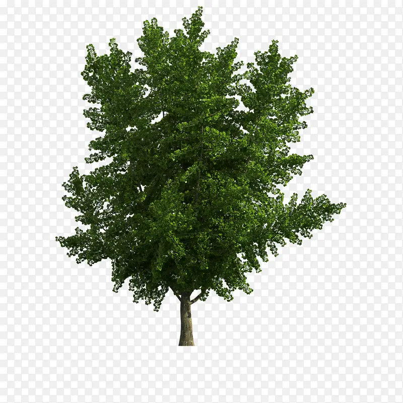 ����-������