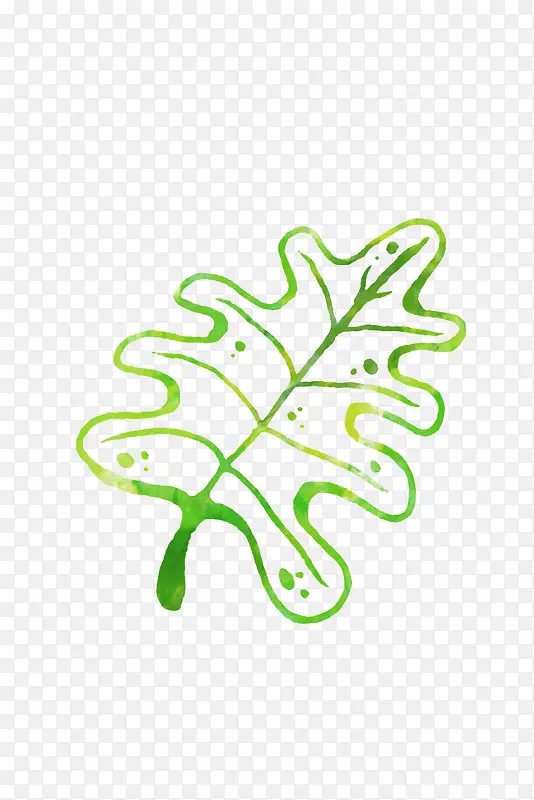 �ֻ���Ҷ-������