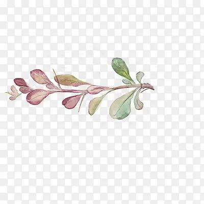 �ֻ���Ҷ-������