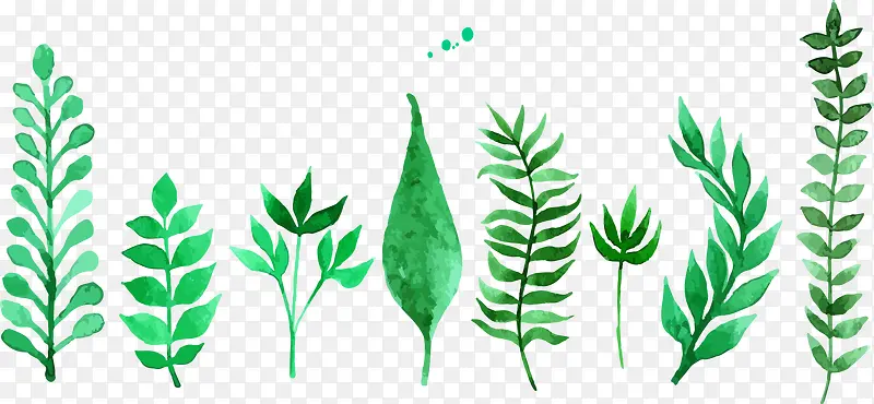 ��ͨ�ֻ���Ҷ-������