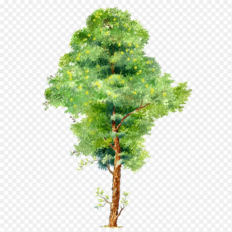 ʸ����Ҷ��������ز�-������