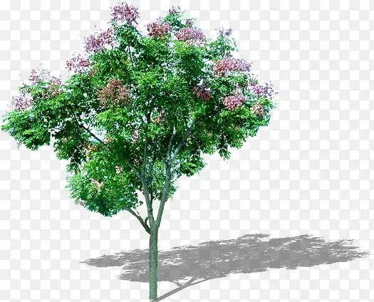 ��-������