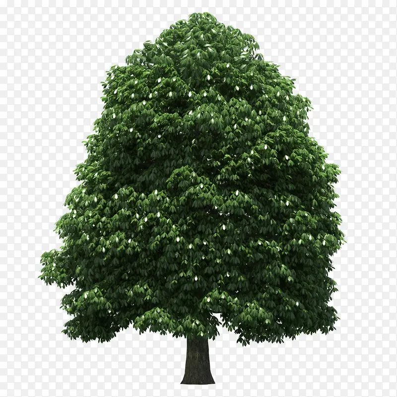 ����-������