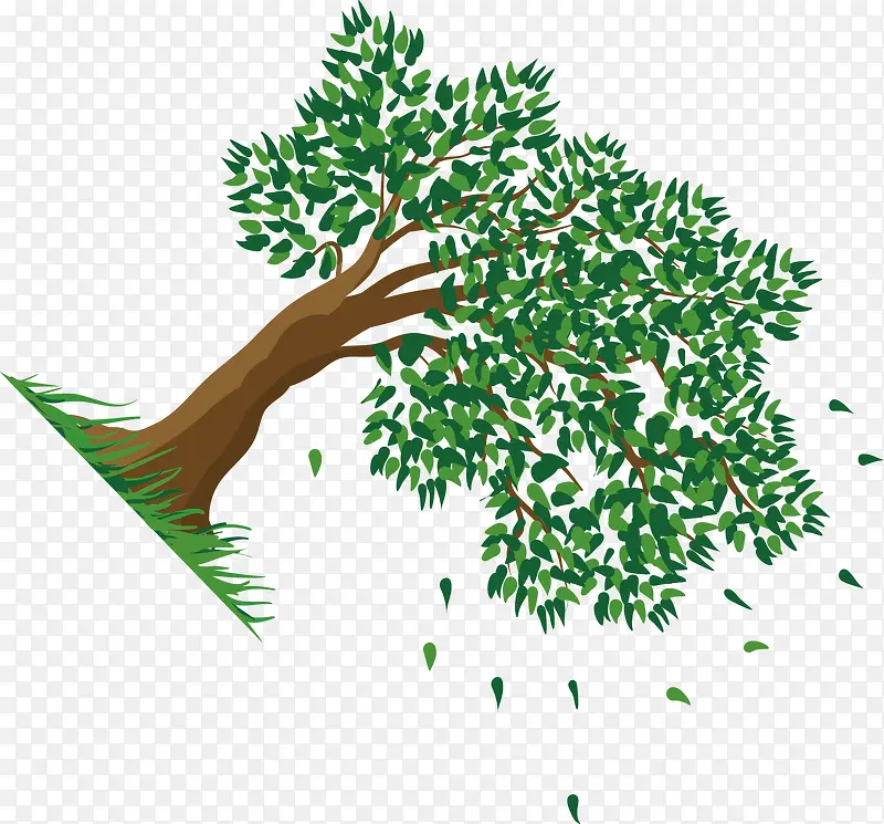 ����װ�����ʸ��-������