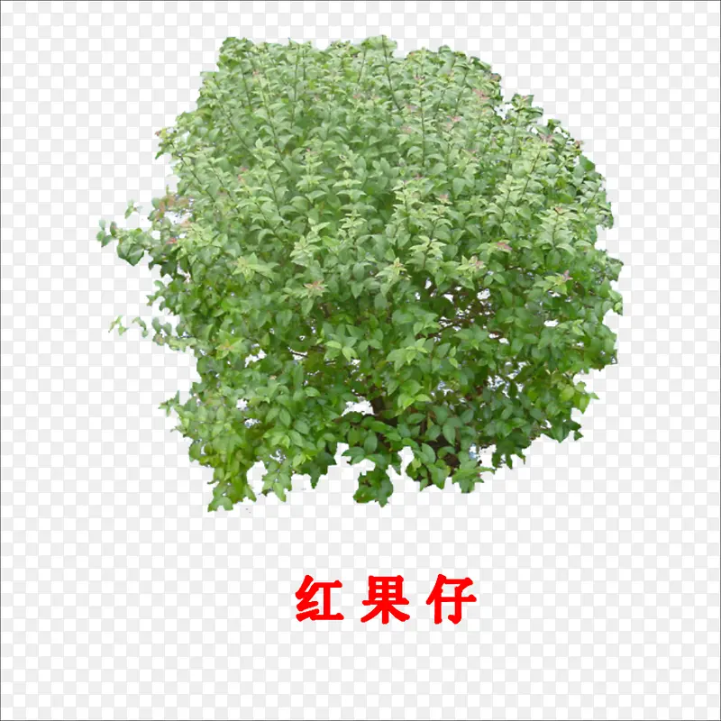 �����-������